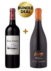 1 Btl Mas Andes Carmenere 75Cl + 1 Btl Chateau Seguala Icone Tautavel Cotes Du Roussillon Villages Eleve En Futs De Chene 75Cl