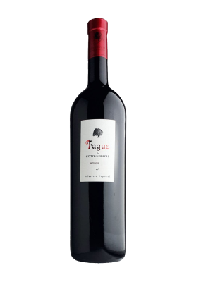 Fagus De Coto De Hayas Garnacha Seleccion Especial  75Cl